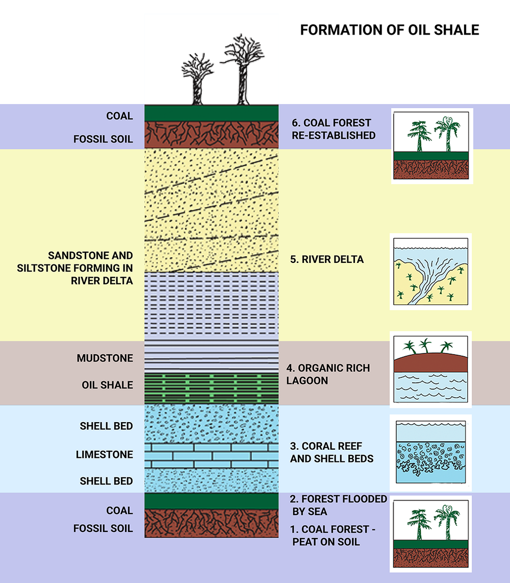 cross section 8.png